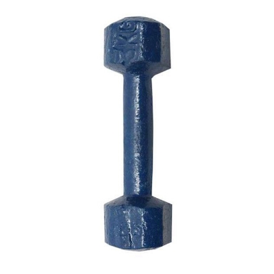 Picture of 5kg Bangla Dumbbell Blue 1pcs - Sports & Fitness