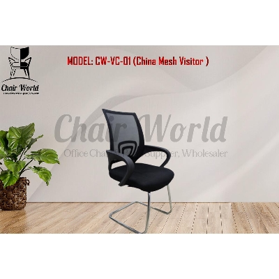 Picture of CW-VC-01 (China Mesh Visitor )