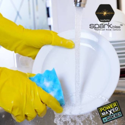 Picture of Spark bliss Dish Wash Liquid Antibacterial 500ml