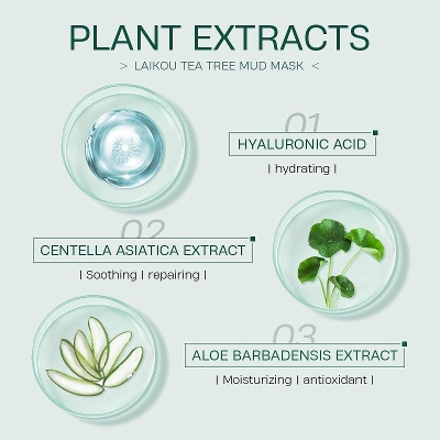 Picture of Laikou Tea Tree Mud Mask - 5Gm