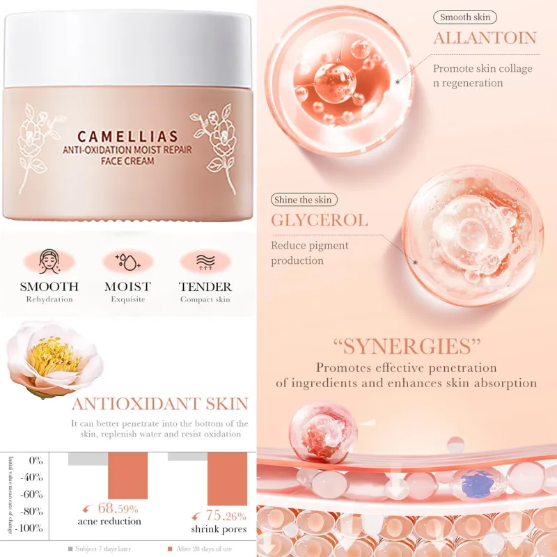 Picture of BIOAQUA Camellias Anti-Oxidation Moist Repair Face Cream- 50g