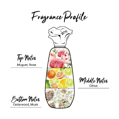 Picture of EnchanteurPerfumed Deodorant Roll-on – Charming 50ml (International Malaysian)