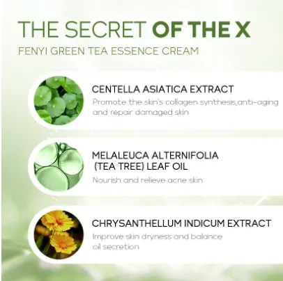 Picture of Fenyi Green Tea Nourishing Acne Repair Essence Cream- 40g