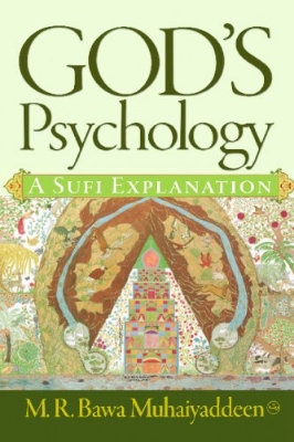 Picture of God's Psychology: A Sufi Explanation Paperback