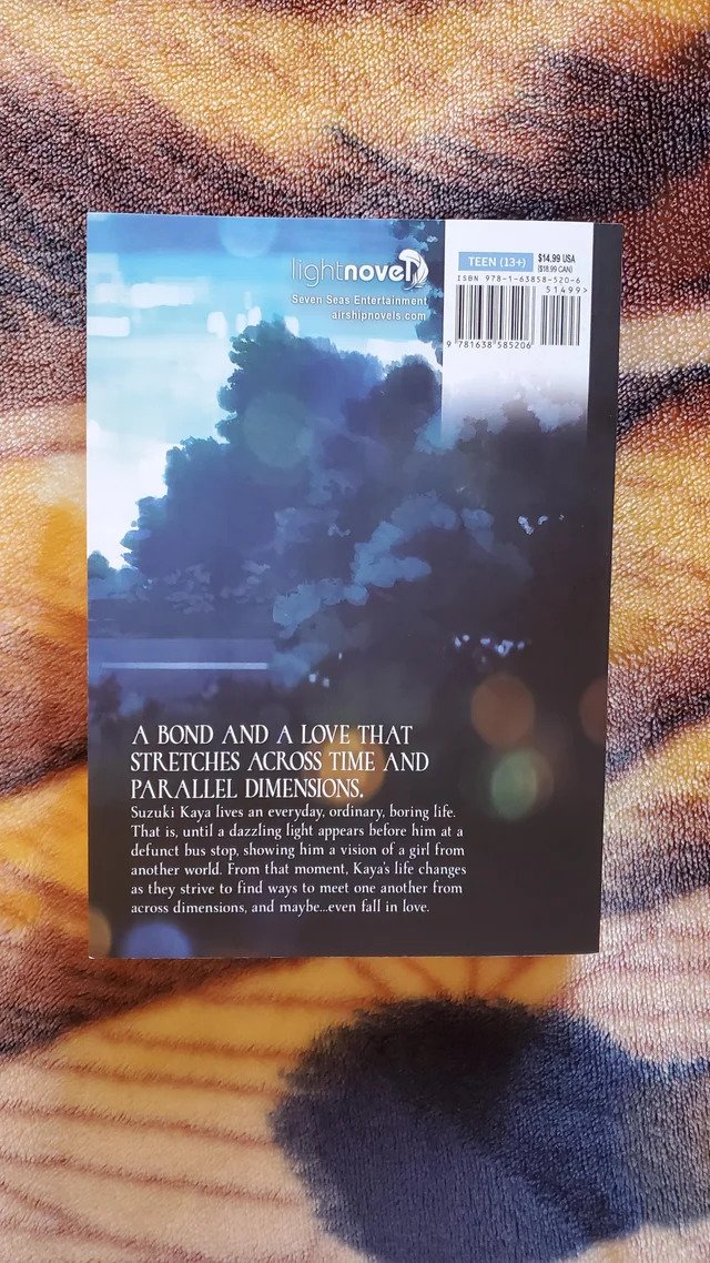 Picture of I Will Forget This Feeling Someday (Light Novel)