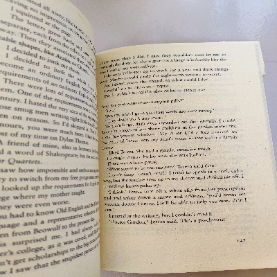 Picture of The Bell Jar Novel by Sylvia Plath