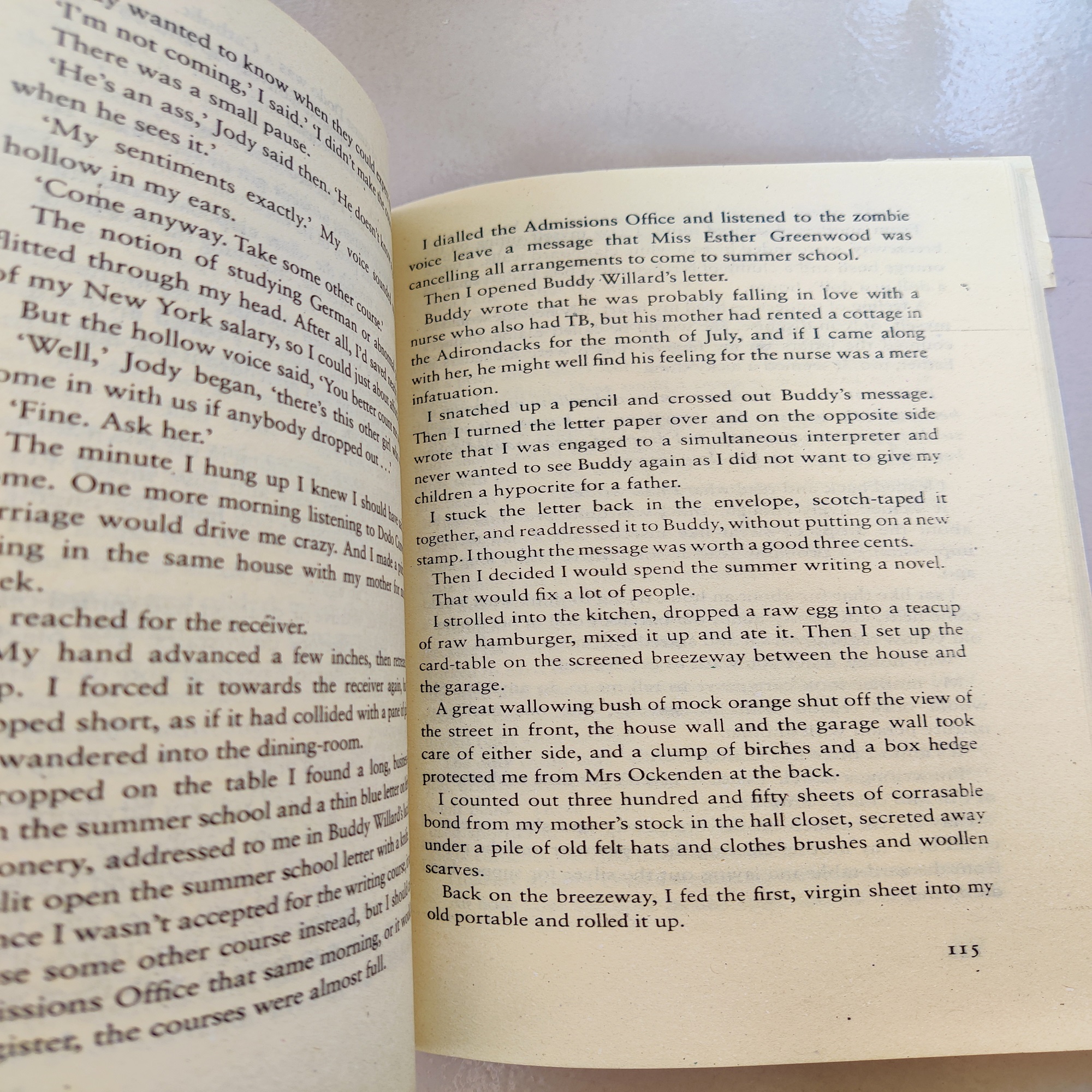 Picture of The Bell Jar Novel by Sylvia Plath