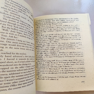 Picture of The Bell Jar Novel by Sylvia Plath