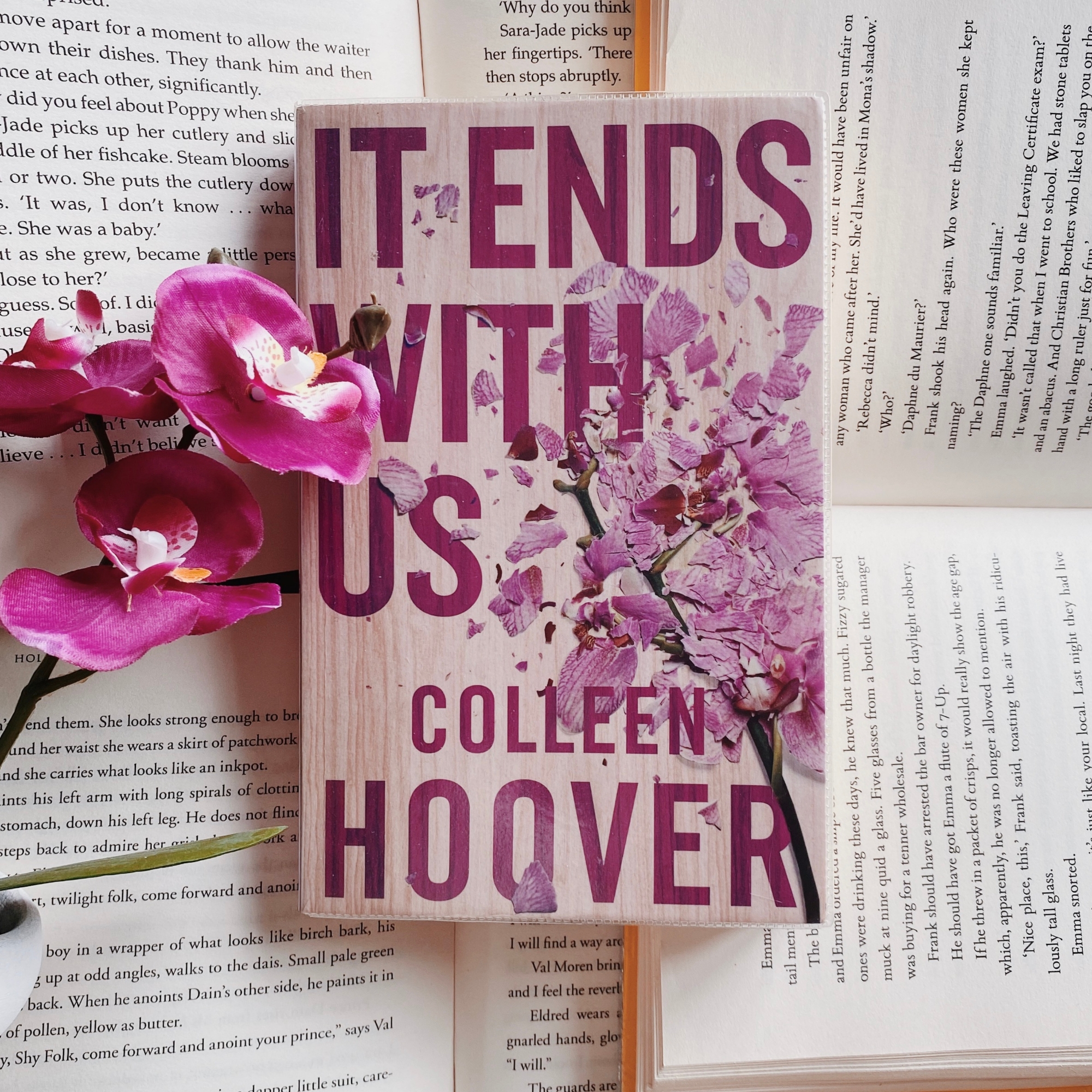 Picture of It Ends with Us 2 Books Series by Colleen Hoover