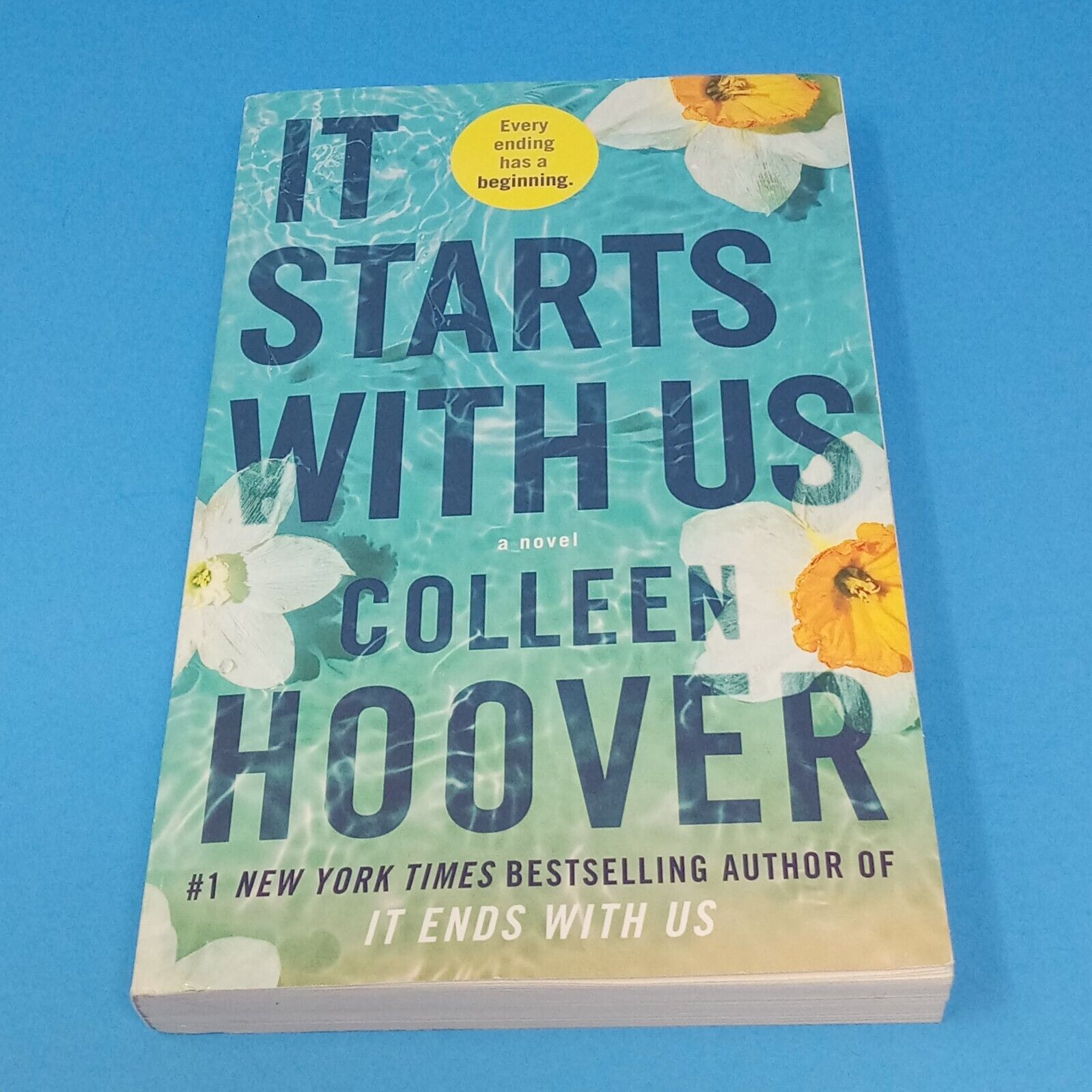 Picture of It Ends with Us 2 Books Series by Colleen Hoover