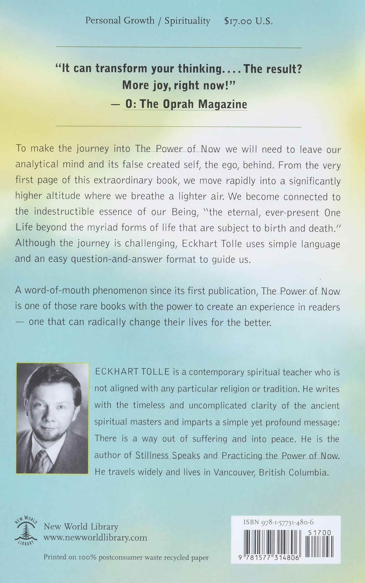 Picture of The Power of Now: A Guide to Spiritual Enlightenment