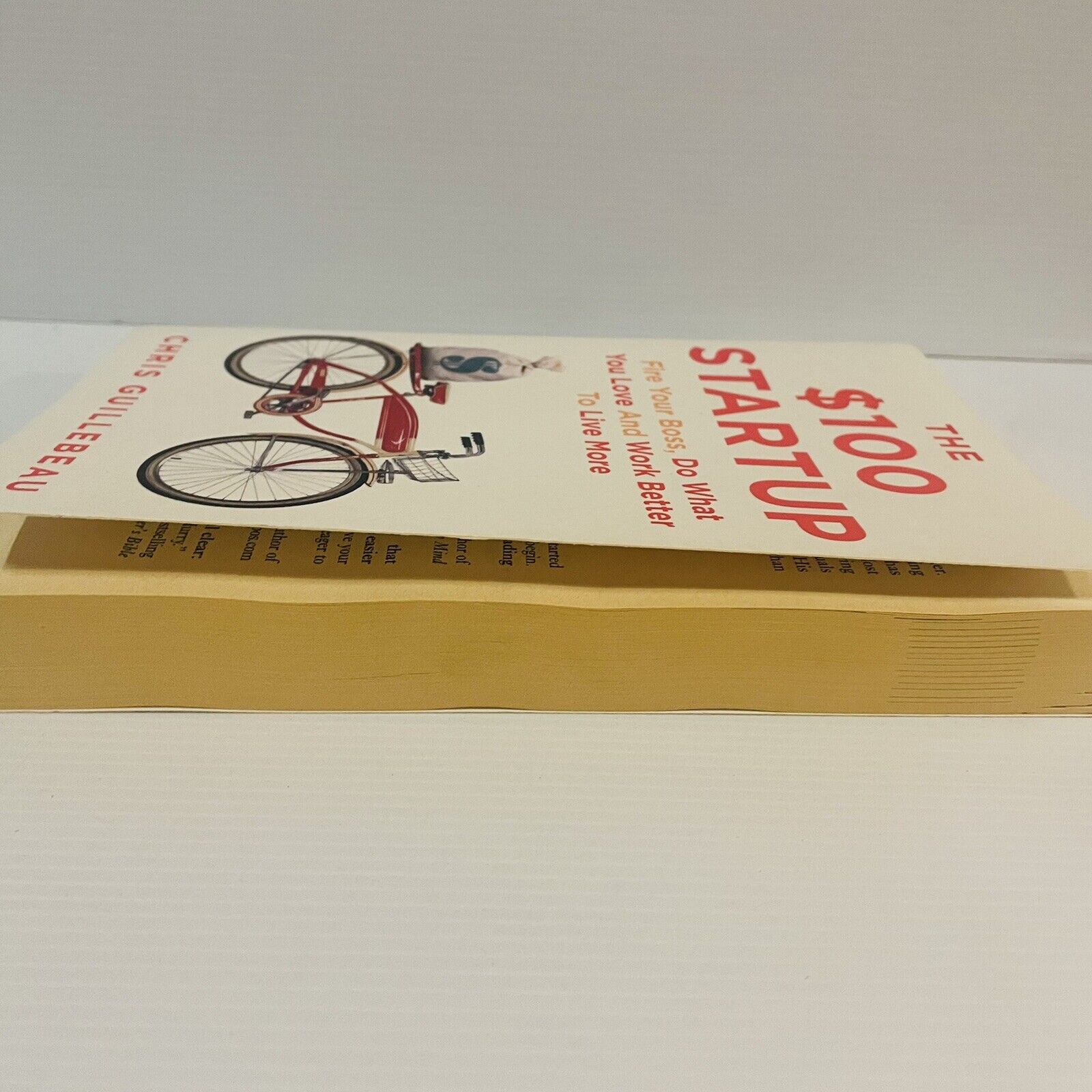 Picture of The $100 Startup: Reinvent the Way You Make a Living, Do What You Love, and Create a New Future