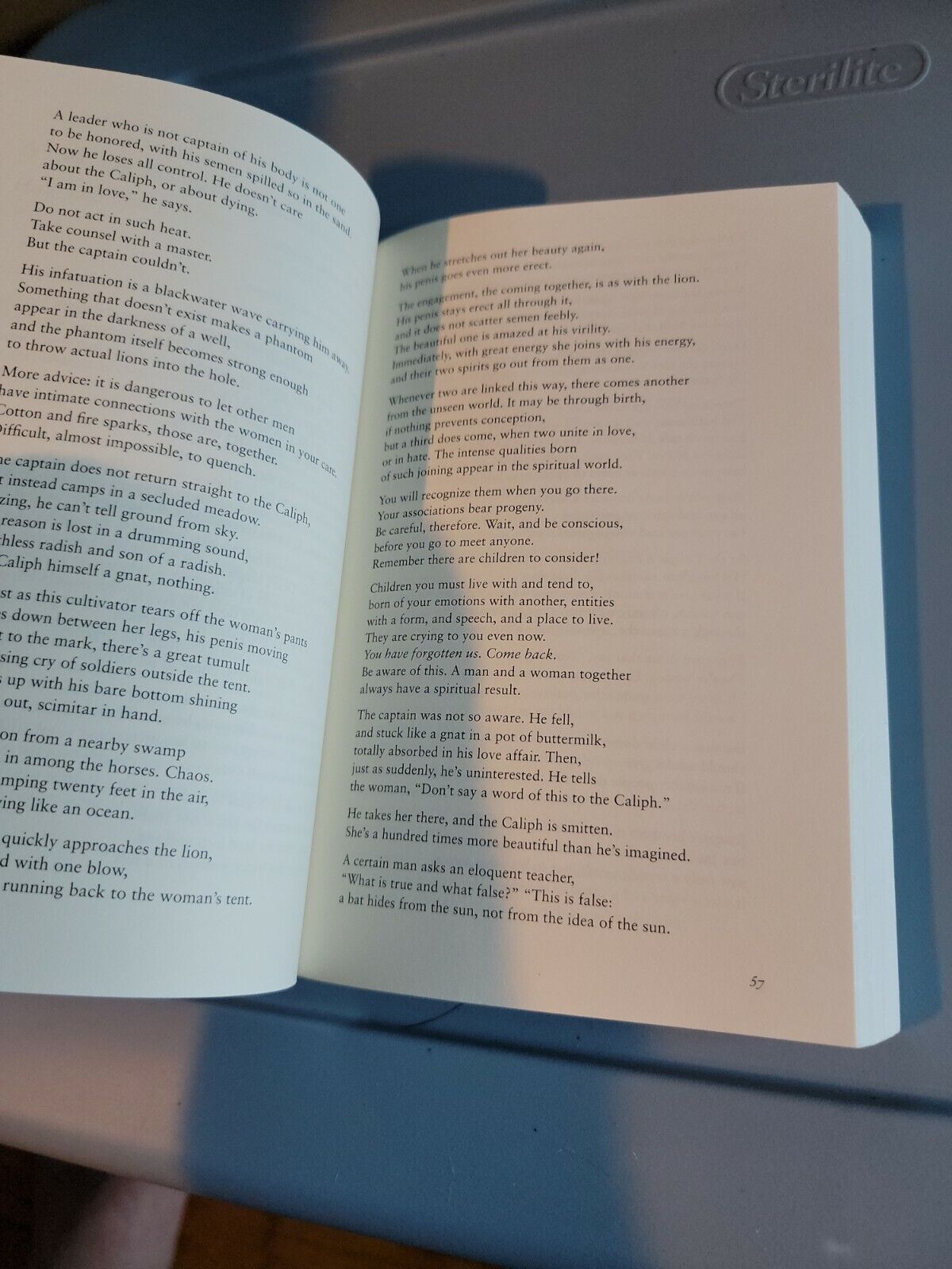 Picture of The Essential Rumi -paperback