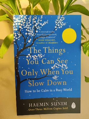 Picture of The Things You Can See Only When You Slow Down: How to be Calm in a Busy World