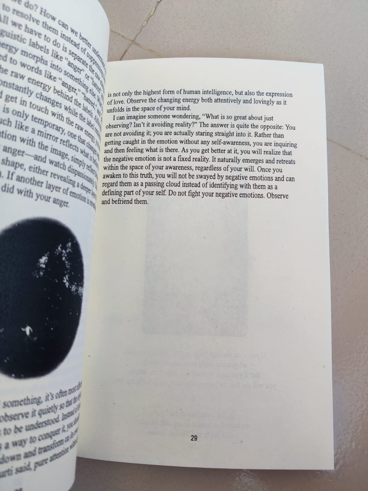 Picture of The Things You Can See Only When You Slow Down: How to be Calm in a Busy World