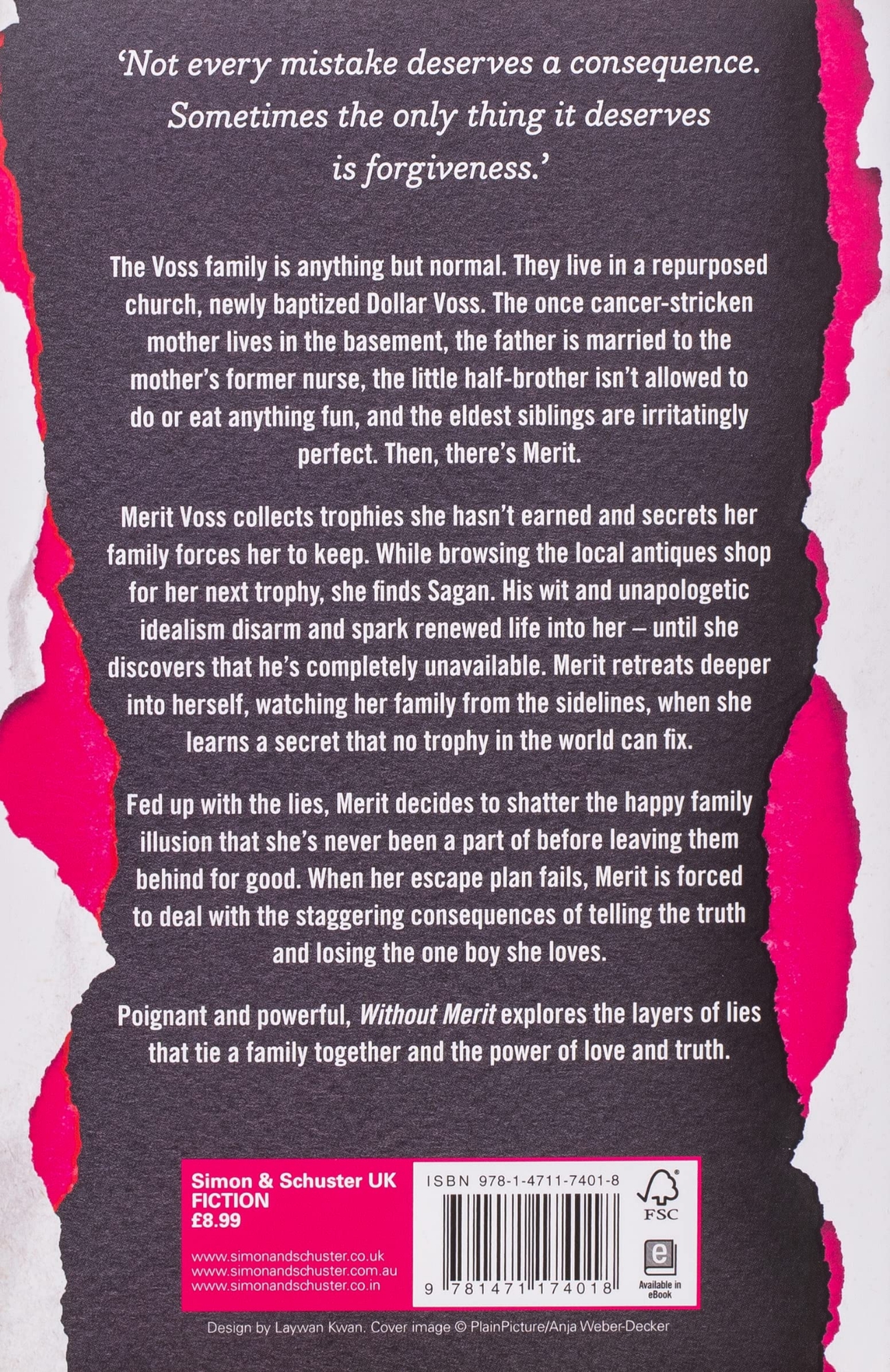 Picture of Without Merit by Colleen Hoover