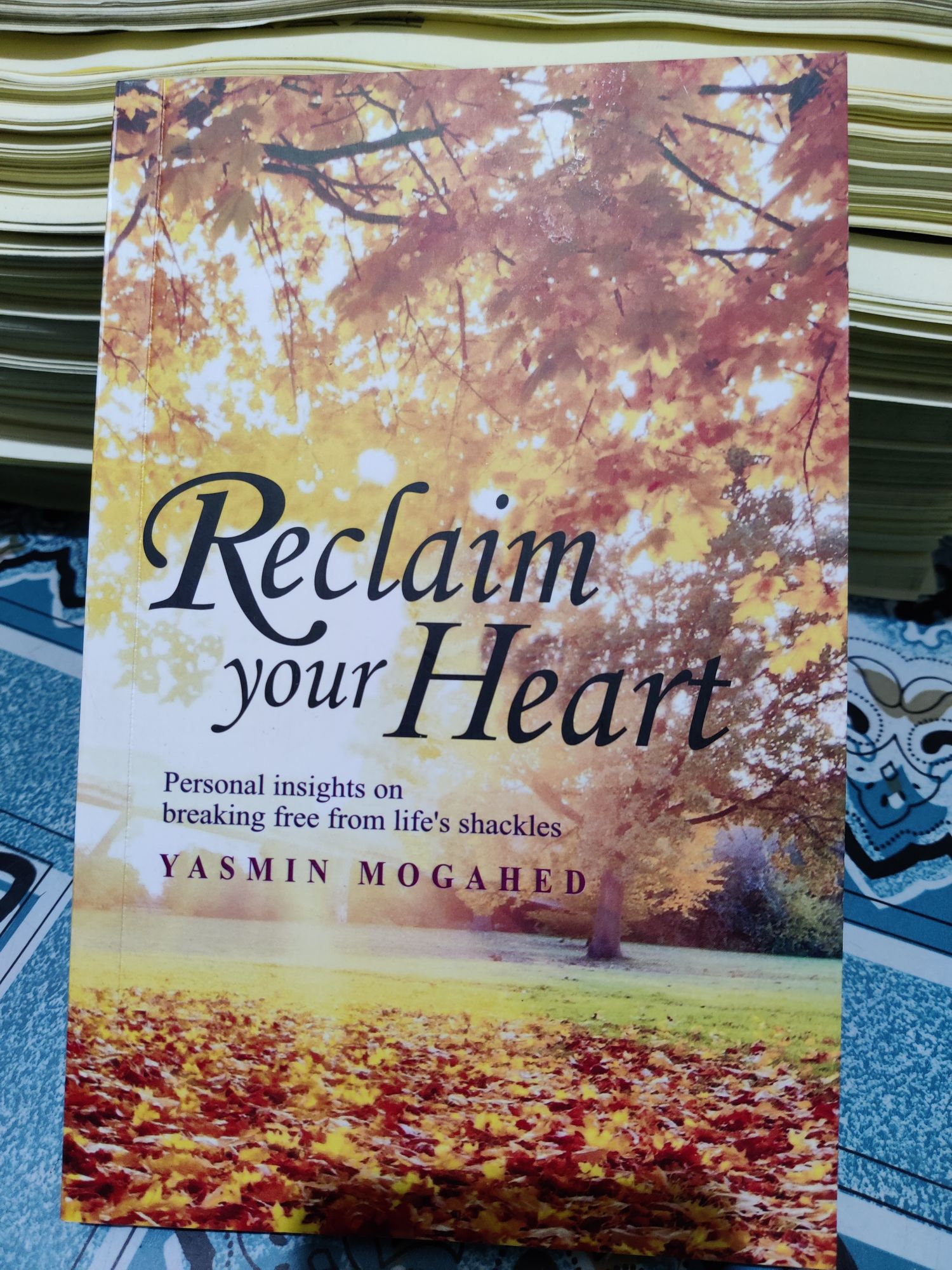 Picture of Reclaim Your Heart: Personal Insights on breaking free from life's shackles