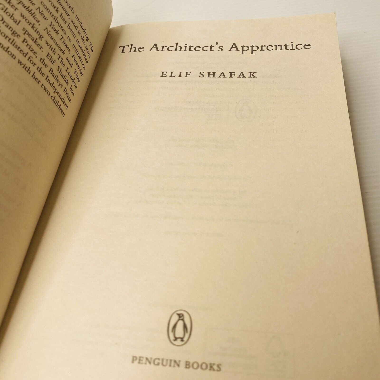 Picture of The Architect's Apprentice Novel by Elif Shafak