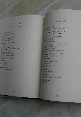 Picture of Rumi: Bridge to the Soul: Journeys into the Music and Silence of the Heart