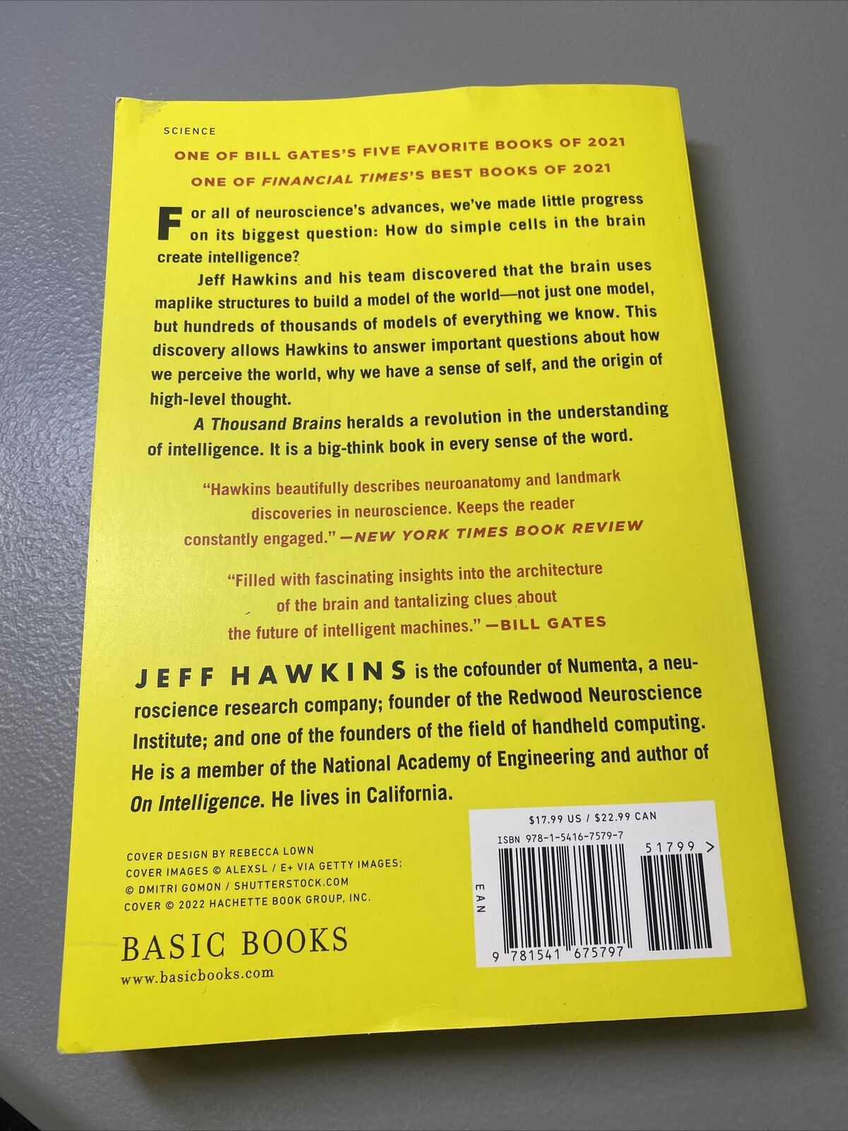 Picture of A Thousand Brains: A New Theory of Intelligence