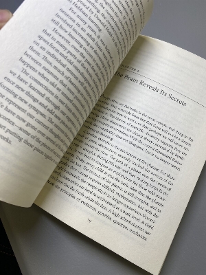 Picture of A Thousand Brains: A New Theory of Intelligence