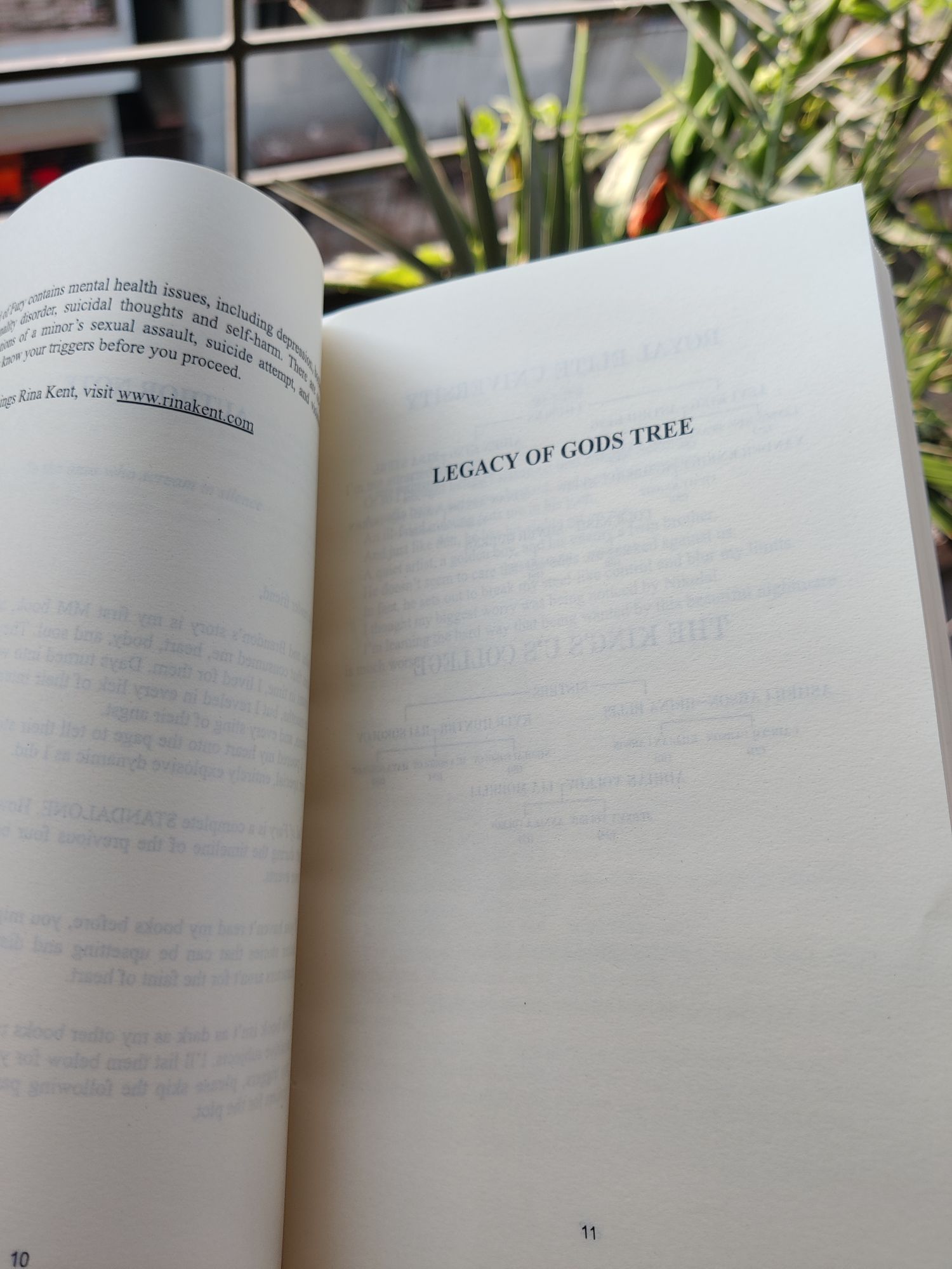 Picture of God of Fury (Legacy of Gods #5) by Rina Kent (Paperback)