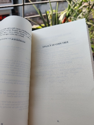 Picture of God of Fury (Legacy of Gods #5) by Rina Kent (Paperback)