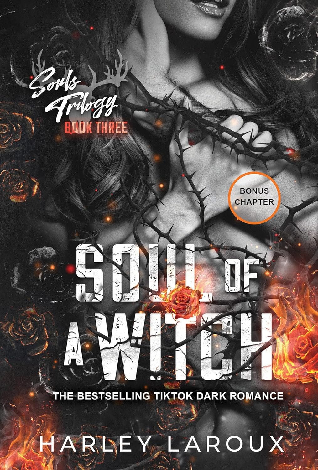 Picture of Soul of a Witch (Souls Trilogy, #3) by Harley Laroux (Paperback)