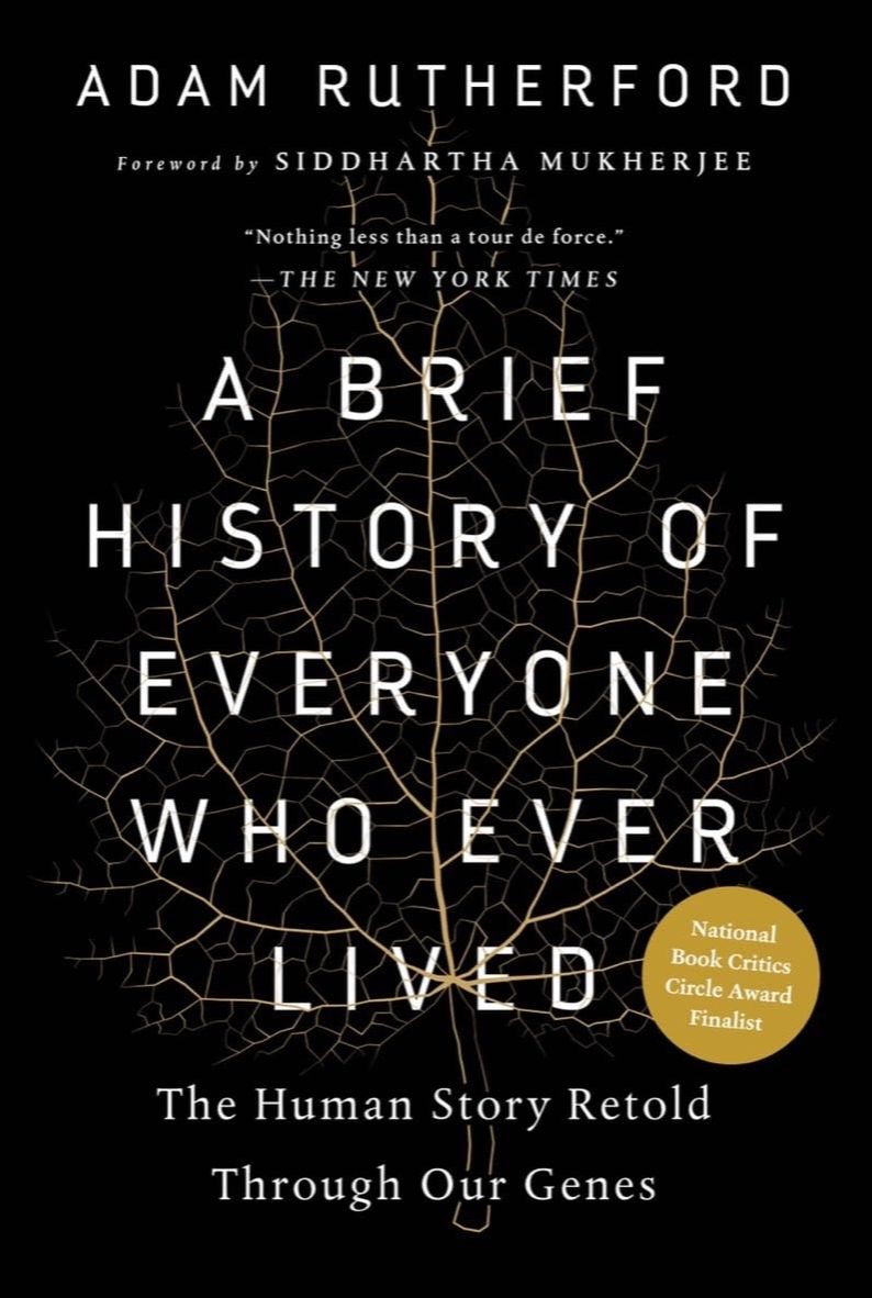 Picture of A Brief History of Everyone Who Ever Lived: The Human Story Retold Through Our Genes by Adam Rutherford (Paperback)