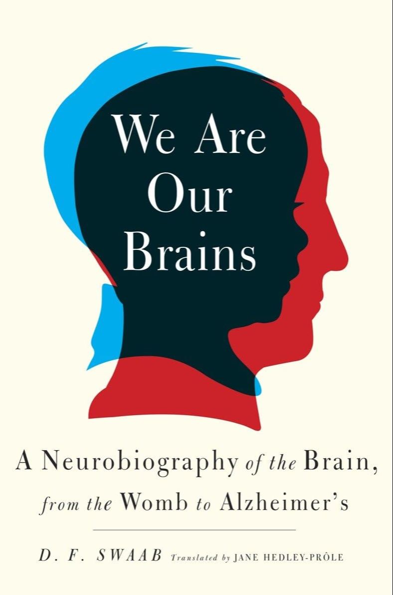 Picture of We Are Our Brains: A Neurobiography of the Brain, from the Womb to Alzheimer's by D. F. Swaab (Paperback)