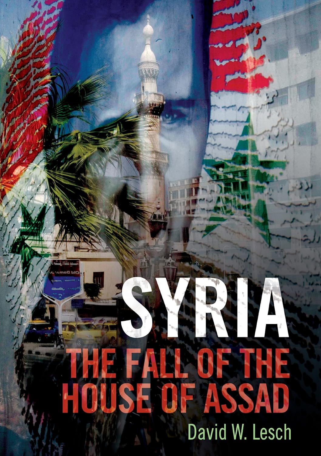 Picture of Syria: The Fall of the House of Assad by David W. Lesch (Paperback)