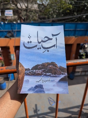Picture of Aab-E- Hayat by Umera Ahmed (Premium Quality Paperback) (Roman Urdu)