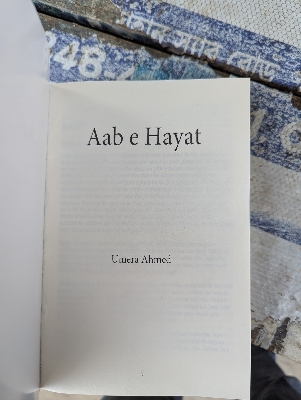 Picture of Aab-E- Hayat by Umera Ahmed (Premium Quality Paperback) (Roman Urdu)