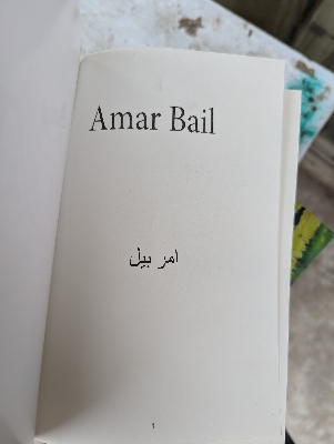 Picture of Amarbel/امربیل by Umera Ahmed (Premium Quality Paperback) (Roman Urdu)