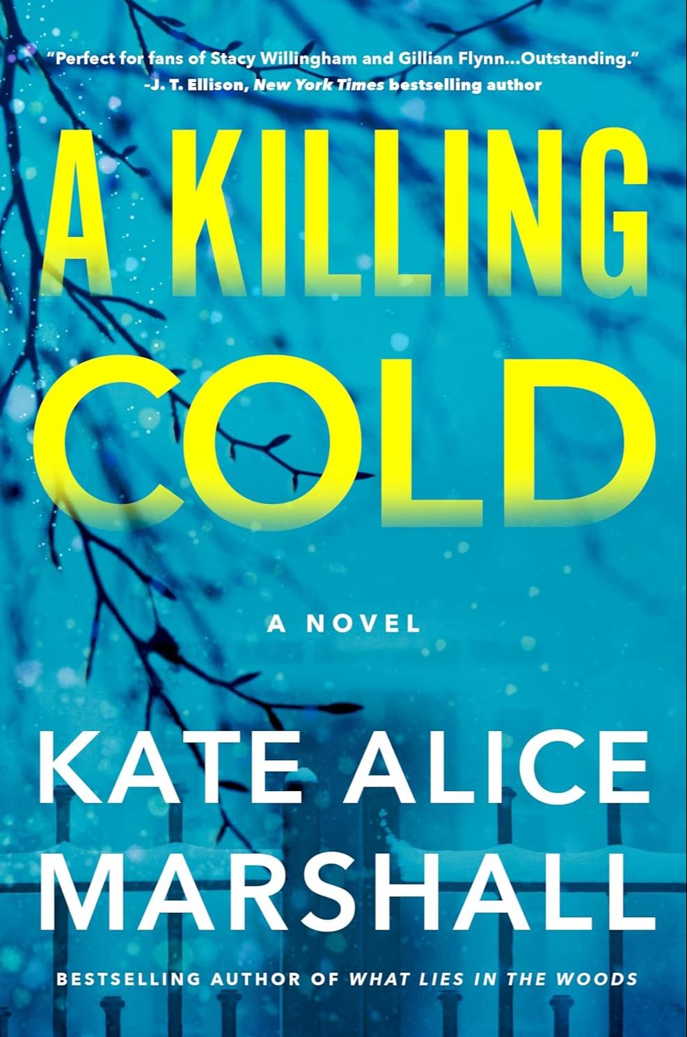 Picture of A Killing Cold by Kate Alice Marshall - Premium - Paperback