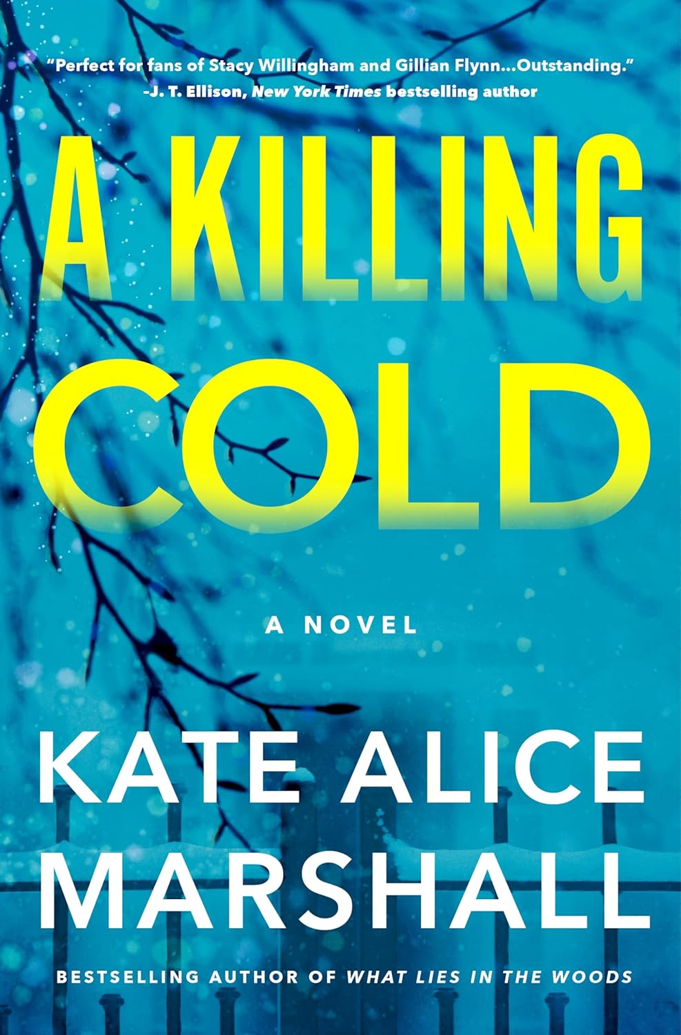 Picture of A Killing Cold by Kate Alice Marshall - Premium - Paperback