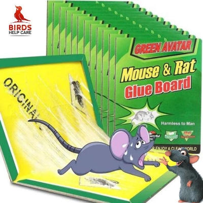 Picture of 3 Pieces Rat and Mouse Glue Trap