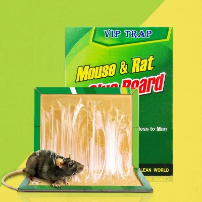 Picture of Mouse and Rat Glue Tape 1 Piece