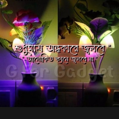 Picture of Romantic Mashroom Light 1 Piece