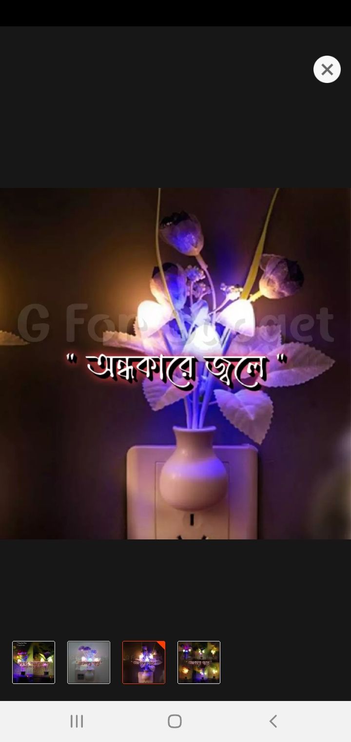 Picture of Romantic Mashroom Light 1 Piece