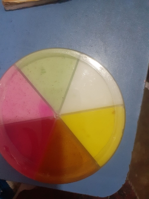 Picture of 6 in 1 Rainbow Combo beauty face pack ( 500 gram)