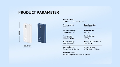 Picture of Remax RPP-295 10000mAh 2.1A Landon Series Power Bank