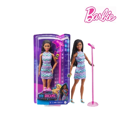 Picture of Barbie HCB14 Big City Big Dreams Doll