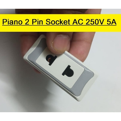 Picture of Piano 2 Pin SOCKET AC 250V 5A 2-Pin Heavy Duty Brass Contact Socket Switches For Electrical Devices Mobile Charger AC Line Socket Made In Bangladesh