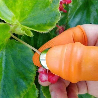 Picture of Silicone Vegetable And Fruits Thumb Cutter Finger cutter