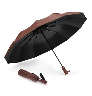 Picture of BMW Polyester 12 Sticks Auto Open and Close - Super Strong Umbrella Chata