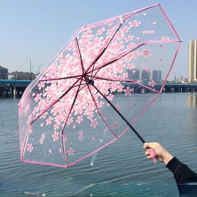 Picture of Flower Print Transparent Folding Umbrella