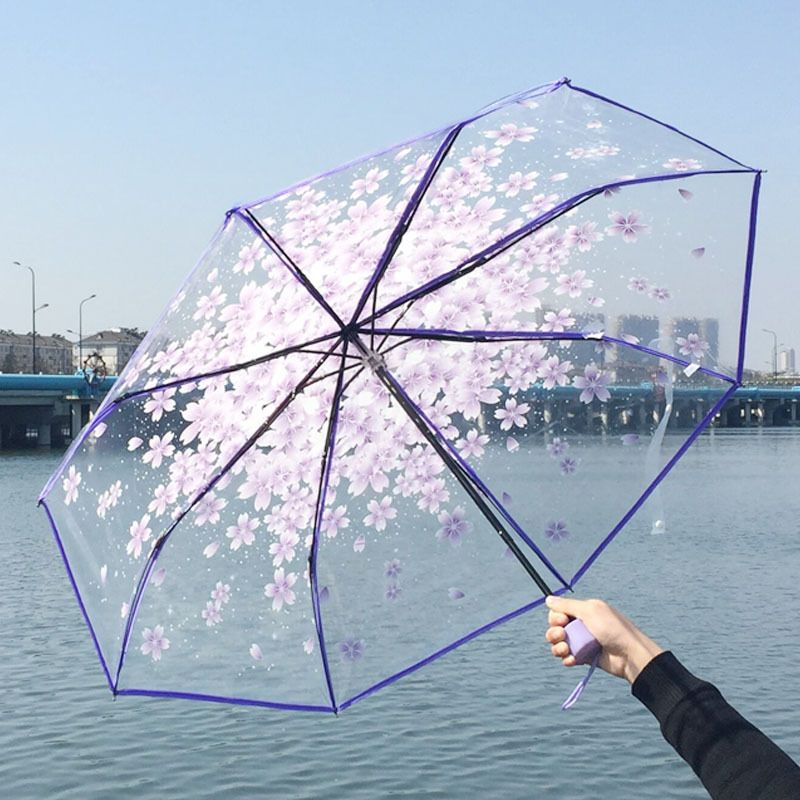 Picture of Flower Print Transparent Folding Umbrella