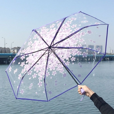 Picture of Flower Print Transparent Folding Umbrella
