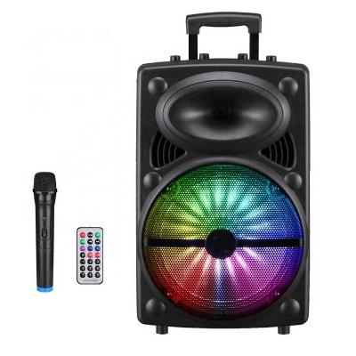Picture of 12 inches outdoor party speaker